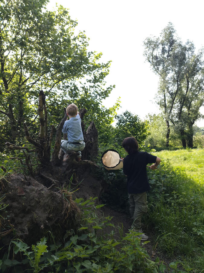 OP zoek naar beestjes in de Bourgoyen